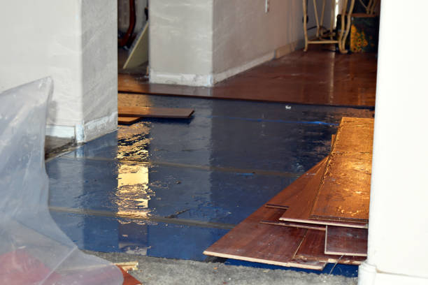 Professional Burst Pipe Cleanup technician working in Grain Valley, MO